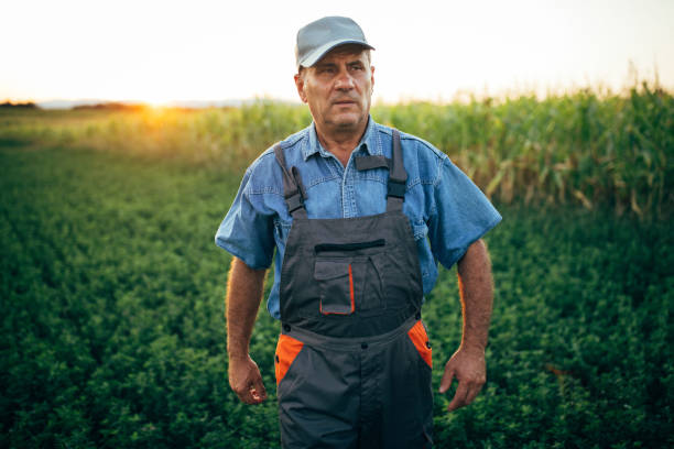 istock Active senior farmer walking in the field 1199864549
