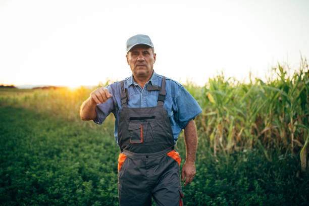 istock Active old farmer walking in the field 1199864569