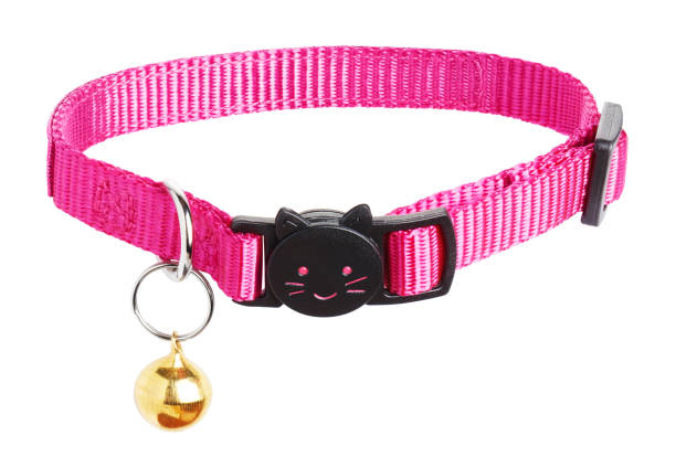 collier rose de chat sur le blanc - col photos et images de collection