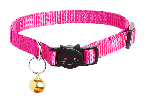 Pink cat collar with bell, isolated on white background