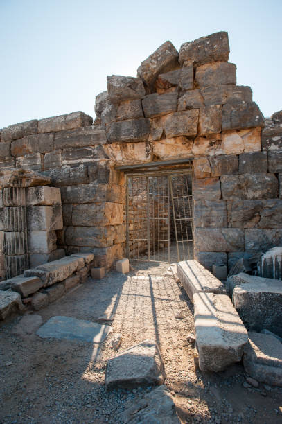 rovine dell'antica città efeso, l'antica città greca in turchia, in una bellissima giornata estiva - celsius library foto e immagini stock