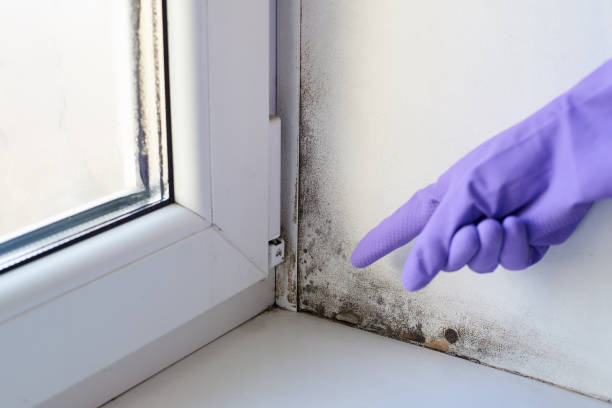 istock Fungus and dampness at the wet window. 1199866796