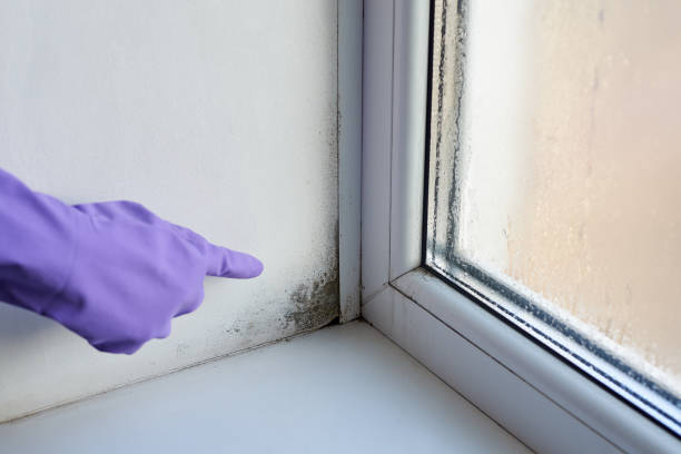 istock Fungus and dampness at the wet window. 1199866835