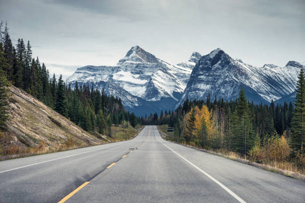 istock Highway with rocky mountains in autumn forest 1199866952