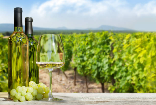 istock Colorful grapes in basket, white wine 1199868025