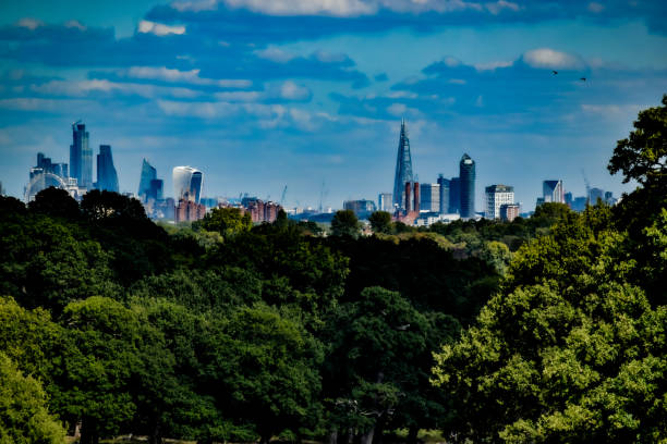 Cityscape from Richmond Park