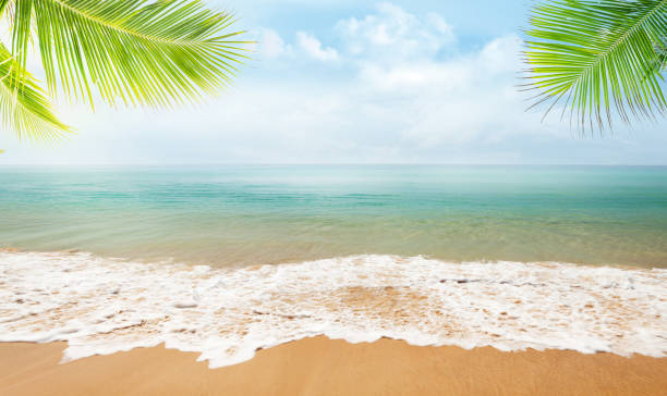 istock Summer tropical sea with waves and blue sky 1199868136