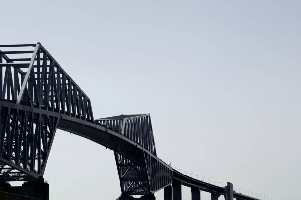 istock Unified Tokyo Gate Bridge with cool colors 1199868245