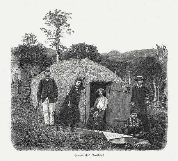 istock Hawaiian grass hut in the past, wood engraving, published 1899 1199869531