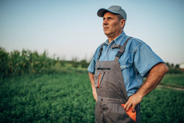 istock Farmer with hat standing in the filed 1199870077