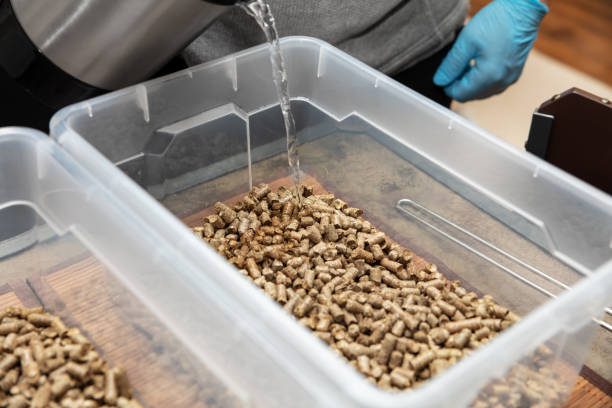 밀짚 펠릿 및 뜨거운 물 으로 성장 배지 기판 으로 구메 버섯, 곰 팡이 배양 - mycelial 뉴스 사진 이미지