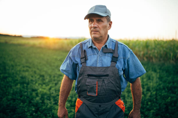 istock Old farmer walking in the field 1199870299