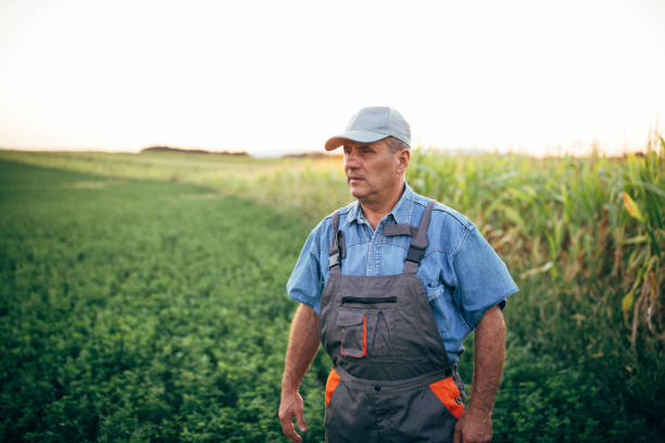 istock Active farmer walking in the field 1199870493