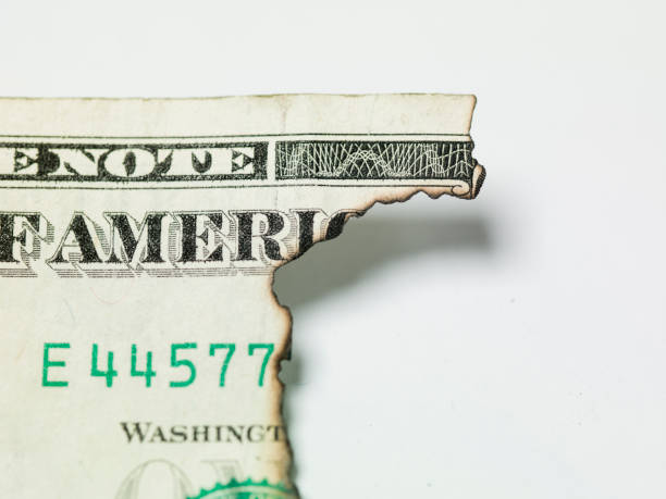 istock burnt one dollar bill on white background 1199870878
