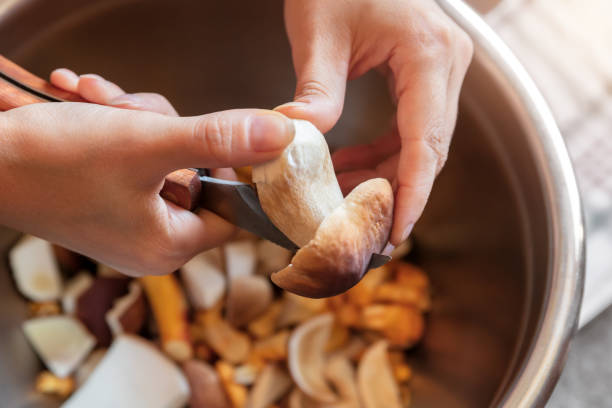 woman is cleaning and cutting porcini mushrooms and chanterelles, topview, closeup woman is cleaning and cutting porcini mushrooms and chanterelles, topview, closeup chanterelle edible mushroom gourmet uncultivated stock pictures, royalty-free photos & images