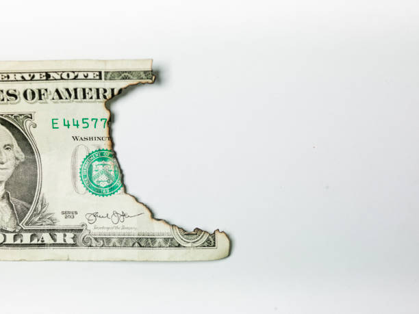 istock burnt one dollar bill on white background 1199870914