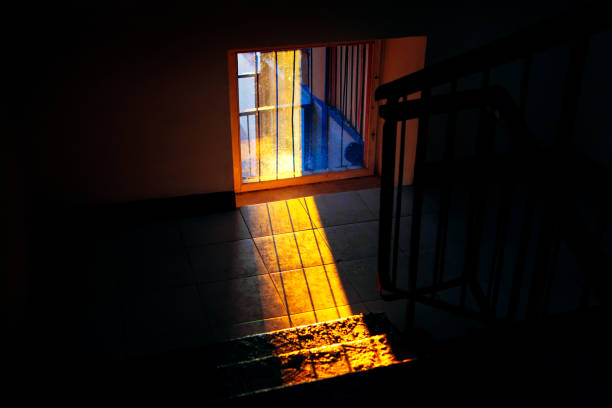 istock sunlight in the dark room 1199873590