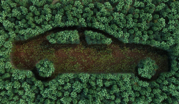 istock ecological concept of environmental damage from cars carshaped forest 3d render 1199874832