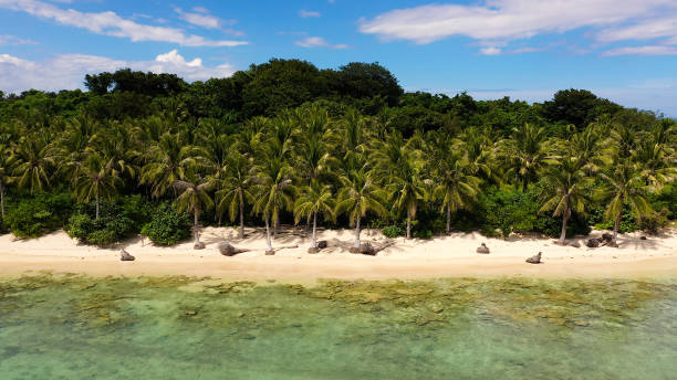 istock Coconut trees on a white beach. Caramoan Islands, Philippines 1199875433
