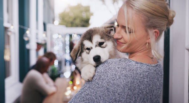istock It's impossible not to pick him up for a cuddle 1199875722