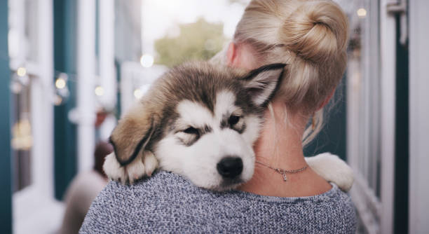 If cute was a picture