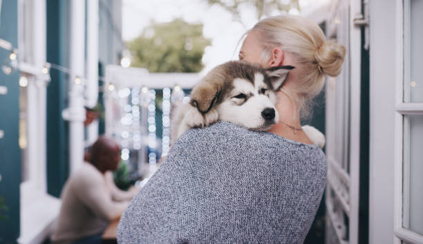 istock They call it puppy love 1199875914