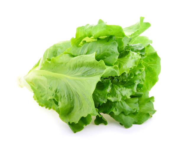 istock Butter head Lettuce isolated on white background 1199879406
