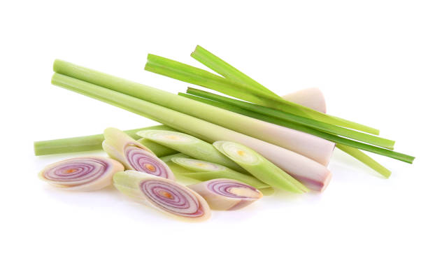 istock Lemongrass isolated on white background 1199879448