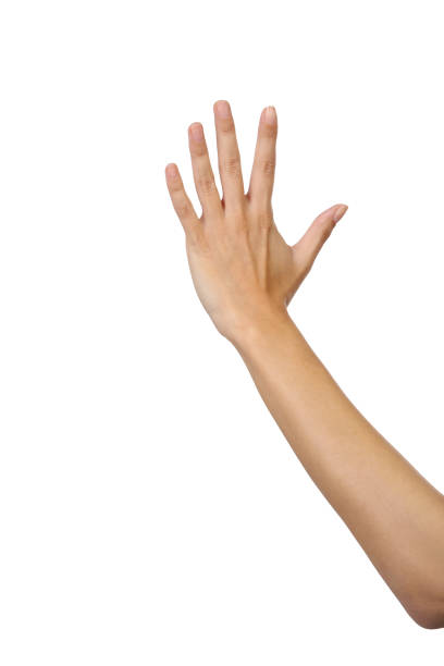 istock Human hand shows number against white background 1199884082