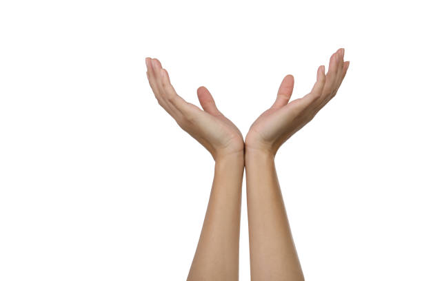 istock Human hands form symbol against a white background 1199884177