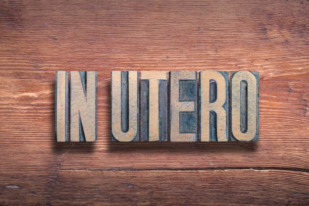 istock in utero wood 1199884246