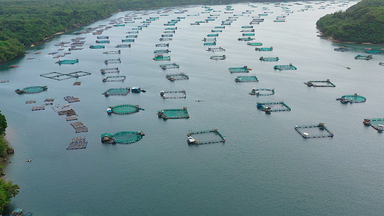Fisheries on Luzon Island, Philippines. Fish farm, top view. Aerial view of fish ponds for bangus, milkfish.