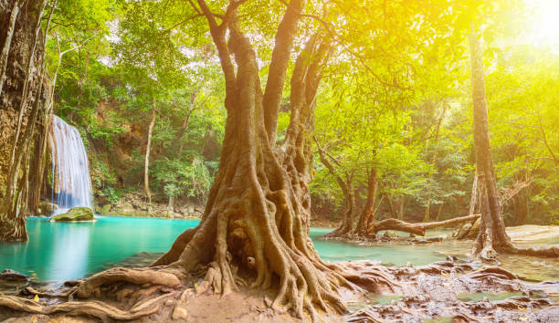 immagina una splendida vista della cascata di erawan nella provincia di kanchanaburi, asia sud-est in thailandia - erawan falls foto e immagini stock