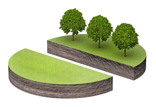 istock two pieces of land with trees and clean 1199896189