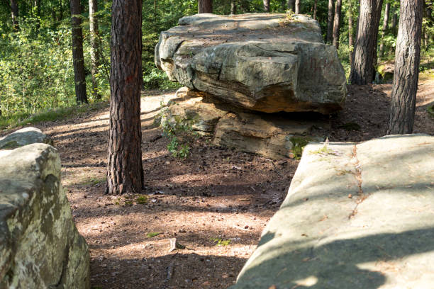 istock landscape with a large sandstones inside of a forest 1199898713