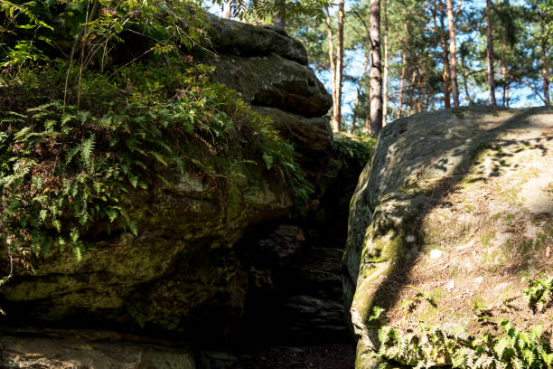 istock ground path between sandstones in nature Reserve Rocks in Krynki 1199898909