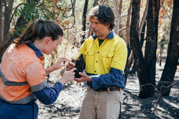 istock Environmental & Conservation Specialists Examine an Acorn Banksia 1199900646