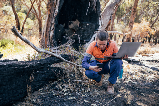 Rockingham Lake regional park.Female scientific environmental conservationist working with the aid of technology to collect data. The Australian Bush has been damaged by fire.