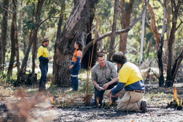 Environmental Progress Being Made Rockingham Lake regional park.Team of scientific environmental conservationist working together collecting data and examining Tree Grass. The Australian Bush has been damaged by fire. ecologist stock pictures, royalty-free photos & images