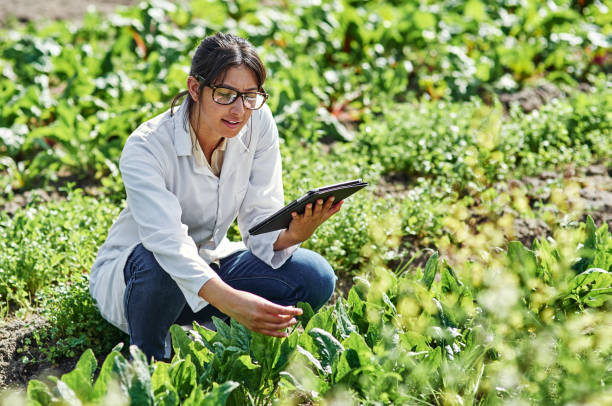istock This app helps me conduct experiments and research better 1199905515