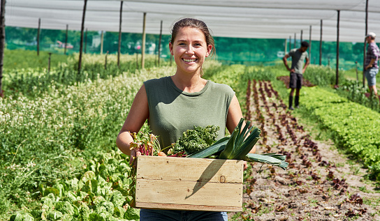 Portrait of an attractive young woman carrying a crate full of vegetables outdoors on a farm