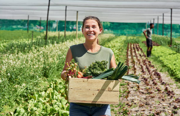 istock Fresh produce coming right up! 1199905536
