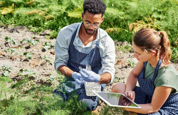 This will help our crops grow bigger and healthier Shot of two young botanists using a digital tablet while fertilizing crops and plants outdoors on a farm field workers stock pictures, royalty-free photos & images