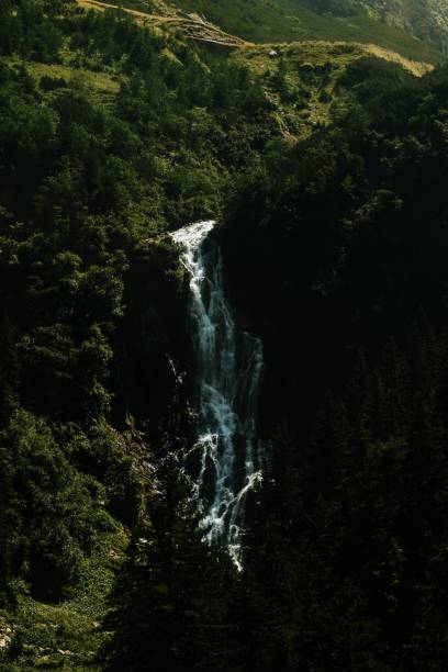 istock Scenic View Of Waterfall In Forest 1199906806