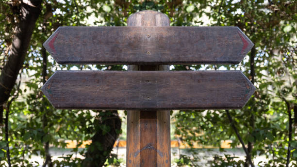 istock Arrow signs opposite directions. Two blank wooden pointers, forest trees background, copy space 1199906899