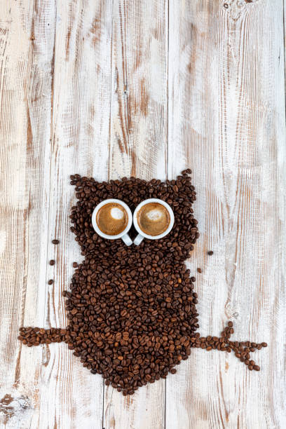 coffee art concept ,owl from coffee beans. coffee bean owl, owl silhouette made with coffee beans on a coffee sack. - owl clover imagens e fotografias de stock