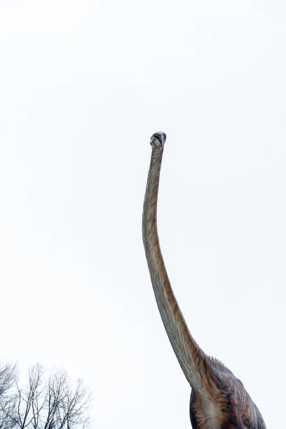 istock Low Angle View Of Dinosaur Head And Neck Against Sky 1199908119