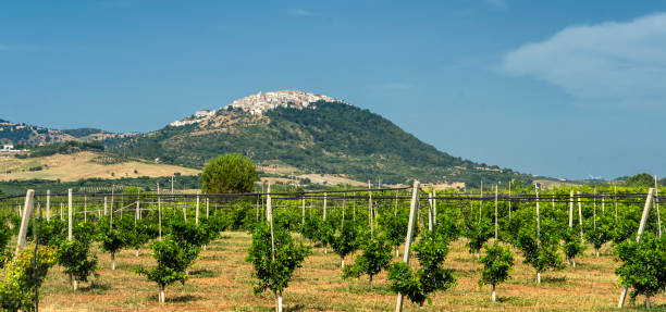 istock View of Rotondella, Basilicata, Italy 1199908316