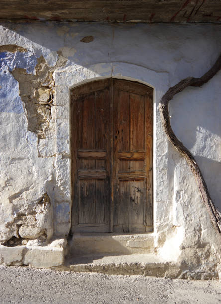 Ancient vine climbs stucco wall next to weathered door in Margarites Greece