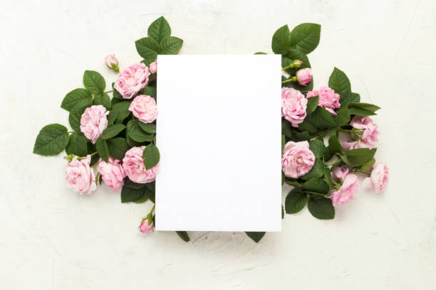 istock Clean white sheet and pink roses on a light stone background. Co 1199913057